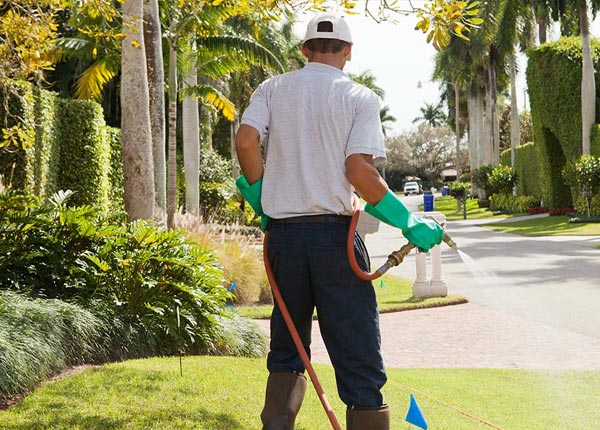 About Walland TN Pest Control Pros